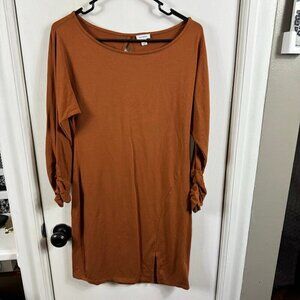 Cuyana Dolman Sleeve Dress in rust ruched sleeve slit knee length